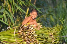 Tôi có một giấc mơ