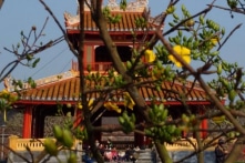 Chút xuân hoài cổ nơi xứ Huế