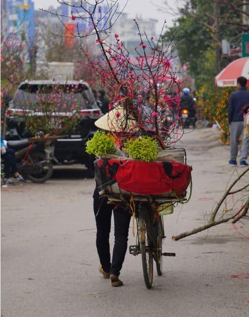 ha noi xuan hong tren nhung chiec xe 12