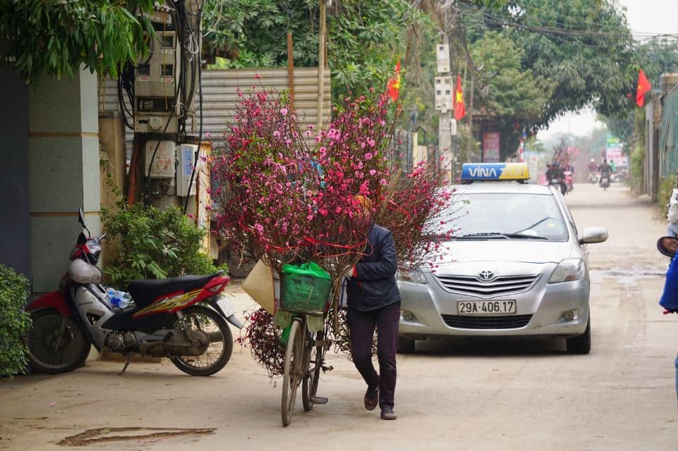 ha noi xuan hong tren nhung chiec xe 13