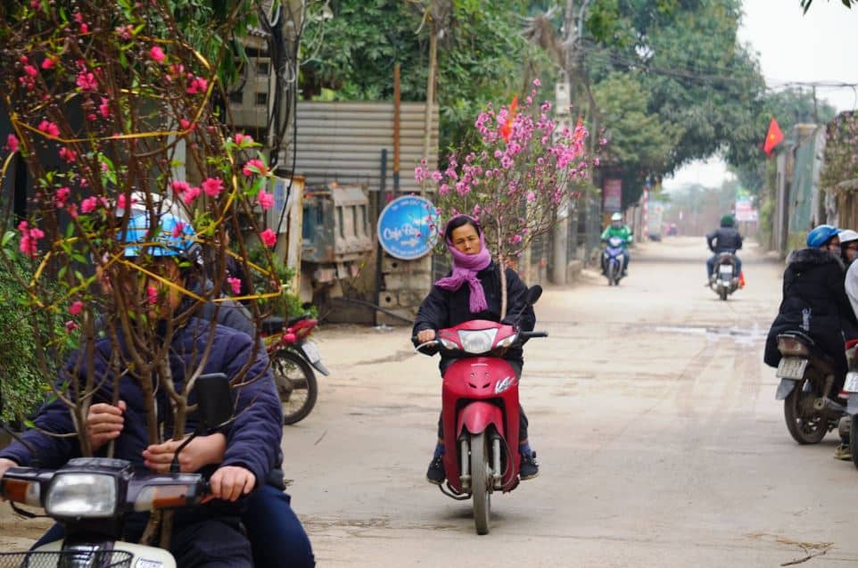 ha noi xuan hong tren nhung chiec xe 14