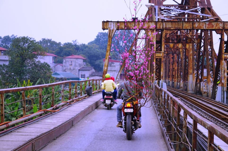 ha noi xuan hong tren nhung chiec xe 8