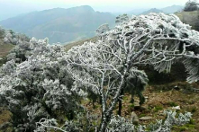 Miền Bắc tiếp tục rét hại đến ngày 5/2