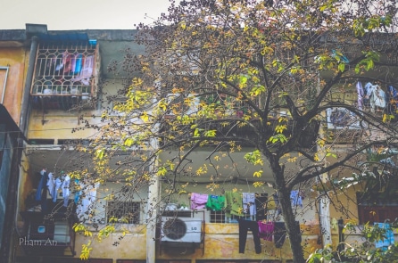 Tết nhìn từ những ô vuông vàng khu tập thể