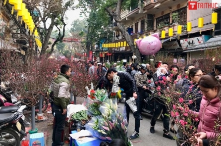 Chợ hoa Hàng Lược: mãn nhãn với những sắc màu rực rỡ ngày Tết