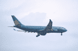 vietnam airlines 3