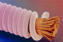 18 tấm ảnh dưới kính hiển vi làm cho những thứ đời thường cũng trở nên khác lạ