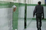 Iran Prison