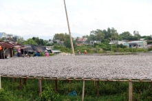 Bà Rịa – Vũng Tàu: Chi hơn 8.200 tỷ đồng xử lý ô nhiễm