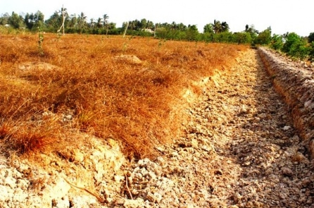 Thuỷ điện trên sông Mekong khiến hơn 60 triệu dân hạ lưu bị ảnh hưởng nghiêm trọng