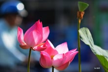 Còn những đắng cay mãi hoài im lặng…