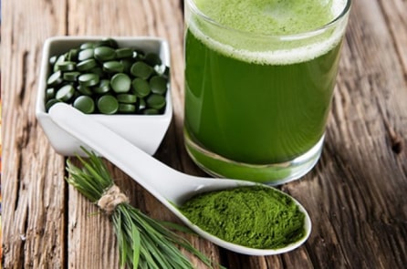 Tảo xoắn có nhiều tác dụng có thể bạn chưa biết