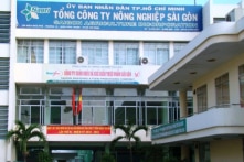 Sai phạm hơn 2.000ha đất công tại Tổng Công ty Nông nghiệp Sài Gòn