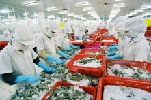 Ngành Thủy sản Việt Nam: Nhiều yếu tố thách thức mục tiêu xuất khẩu 9 tỷ USD