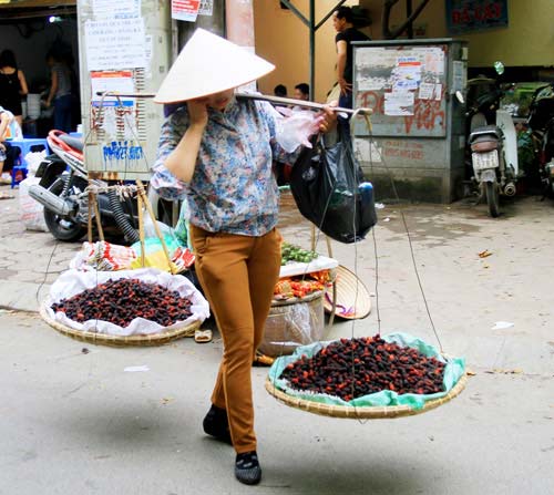 Tháng tư về mùa dâu tằm chín mọng