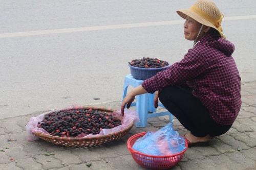 Tháng tư về mùa dâu tằm chín mọng