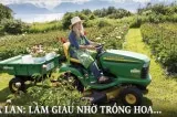 HA LAN trong hoa