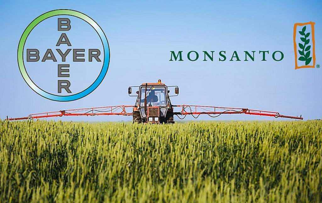 bayer monsanto