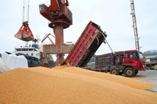 Đậu tương là sản phẩm được chú ý nhất trong tranh chấp thương mại Mỹ – Trung