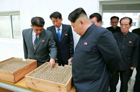 Nhận định của chuyên gia: Không nên tin Triều Tiên từ bỏ hạt nhân