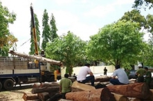 Liên quan đến Phượng ‘râu’, 9 cán bộ tự nhận kỷ luật