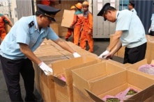 Hải Phòng: Bắt giữ 2,5 tấn lá Khát tại Cảng Nam Hải – Đình Vũ