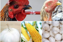 7 loại thực phẩm Trung Quốc được truyền thông Mỹ cảnh báo không nên ăn