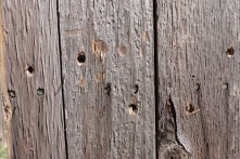 Suy ngẫm: Sự giận dữ như những chiếc đinh cắm vào hàng rào