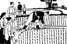 Nguồn gốc dòng họ Vũ nổi danh nhờ khoa bảng