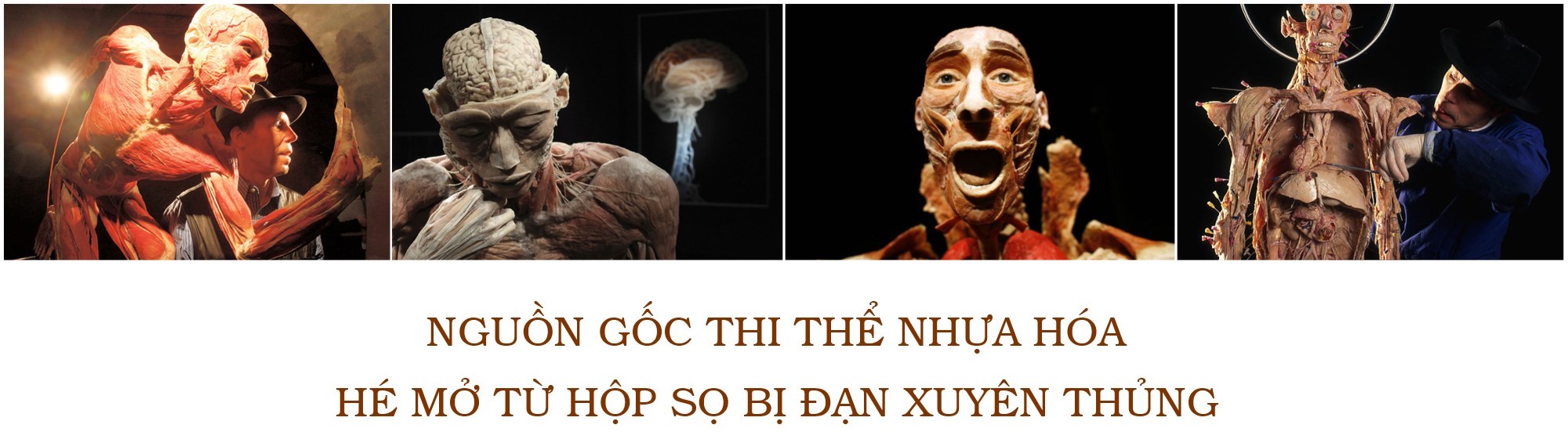 Nguồn gốc thi thể nhựa hóa: Hé mở từ hộp sọ bị đạn xuyên thủng