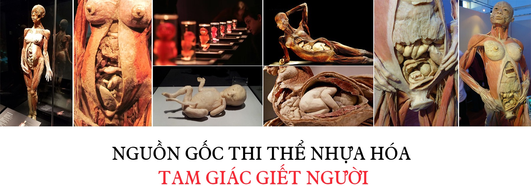 Nguồn gốc thi thể nhựa hóa: Tam giác giết người