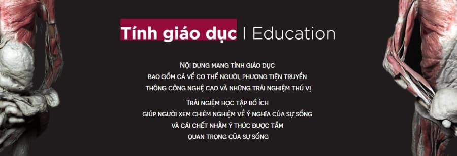 triển lãm cơ thể người tại Việt Nam, nhựa hóa cơ thể, triển lãm xác người