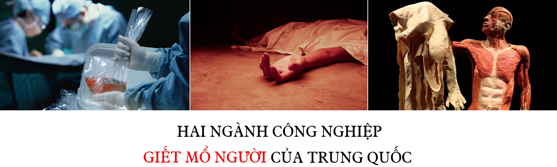 Hai ngành công nghiệp "giết mổ" người của Trung Quốc