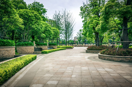 Mỹ: Tỷ lệ trầm cảm giảm mạnh sau khi phủ xanh 206 khu đất hoang