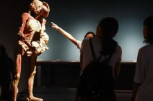 Cục trưởng trực tiếp vào kiểm tra, báo cáo độc lập về triển lãm cơ thể người