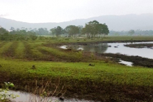 Huế: Nguyên Chủ tịch xã chiếm đoạt 13 lô đất cho người thân