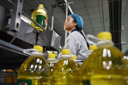 Trung Quốc đánh thuế đậu nành: ‘Gậy ông đập lưng ông’