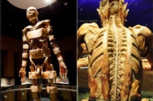 Tạm ngừng triển lãm cơ thể người tại TP.HCM, chờ cung cấp hồ sơ cấp phép