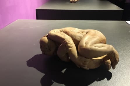 Vì sao nói triển lãm thi thể người vi phạm cả luật lẫn đạo đức?