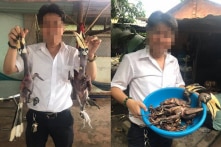 Còn hy vọng nào cho bảo tồn ở Việt Nam?