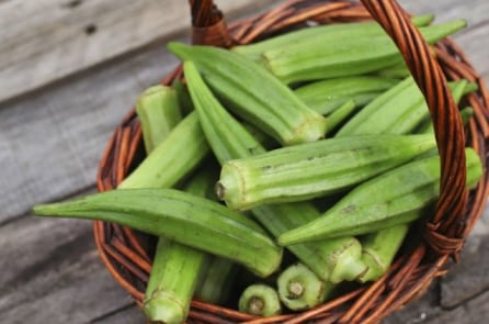 Quả đậu bắp: Giảm đường huyết, bổ sung canxi và phòng ngừa ung thư