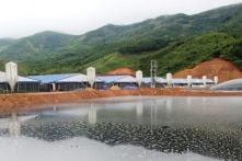 Xả thải ra môi trường, 2 doanh nghiệp bị phạt gần 1 tỷ đồng