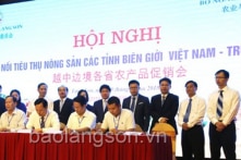 Kết nối tiêu thụ nông sản tại biên giới Việt – Trung