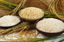 Hai nhà khoa học Trung Quốc bị kết tội đánh cắp công nghệ gạo Mỹ