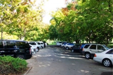 Nha Trang sẽ thu phí ô tô trên 4 tuyến nội thị