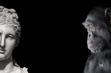 Tính toán di truyền học: Mất quá lâu để vượn người tiến hóa thành người