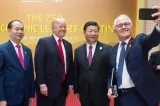 trump tap quang