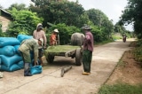 tuyen dương vao nha ong Hanh