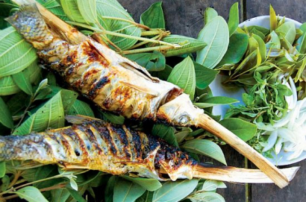 Nhớ mùa cá lúi sông Kôn