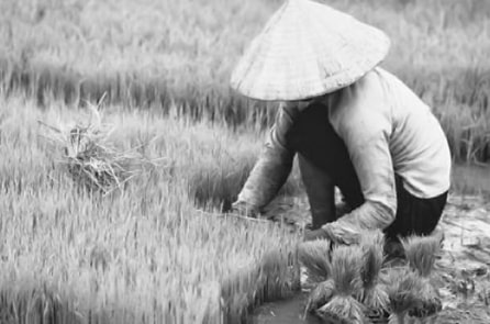 Năm nhuận – Trích Chuyện làng thời Hợp tác xã